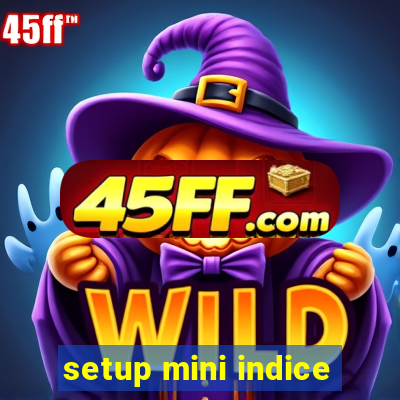 setup mini indice